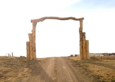 Massive Log Entrance